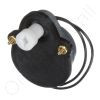 Drum Motor